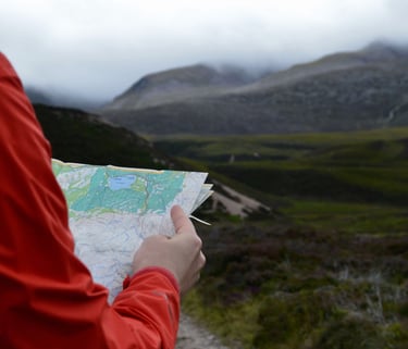 Navigation using map