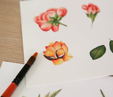 Botânicas de flores vibrantes, em tons de rosa e laranja.
