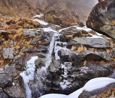 LACHUNG HOMESTAY