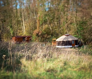 vue d'ensemble d'un espace naturel avec une tiny house et une yourte à louer