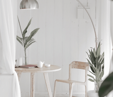 Small round table with a chair and indoor plants placed near a white wall.