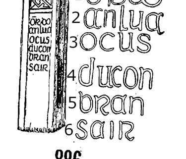 Delgany Runestone 886 - Barony of Rathdown, County Wicklow, Ireland