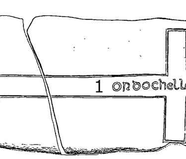 Iniscealtra Runestone 893 - Barony of Tulla Upper, County Clare, Ireland