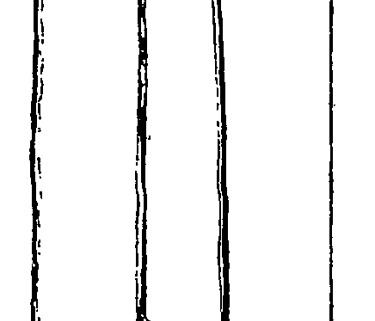 Iniscealtra Runestone 895 - Barony of Tulla Upper, County Clare, Ireland