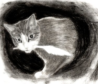 chat au crayon graphite avec une plume dans la gueule