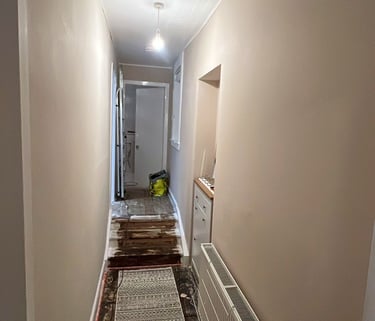 a hallway with freshly painted walls, a carpeted floor and a rug 