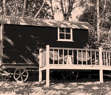 Live life in the slow lane 