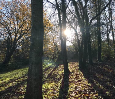Tom's Hut winter morning view