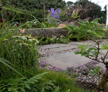 A tree carved into a bench with plants in the foreground