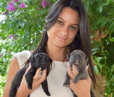 ragazza cuccioli staffordshire bull terrier allevamento etico enci sicilia