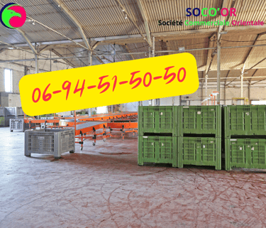 Palette Plastique Maroc 