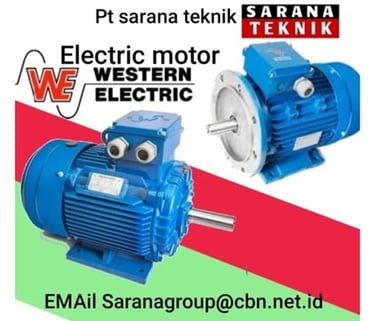 Jual Teco Electric Motor, jual Tatung Electric Motor, jual Elektrim Cantoni Electric Motor