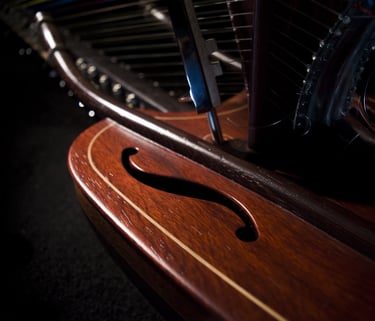 Gros plan sur la table d'harmonie de la kora chromatique à pédale "Jazzy-Kora"