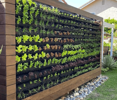 landscaping services in Vijayawada