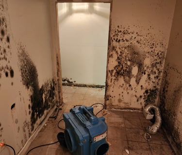 Prevent mold after water damage