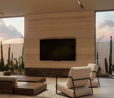 Minimalist TV lounge with low-profile sofa, wood-paneled walls, and natural lighting