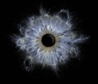 Iris Yeux Bleu