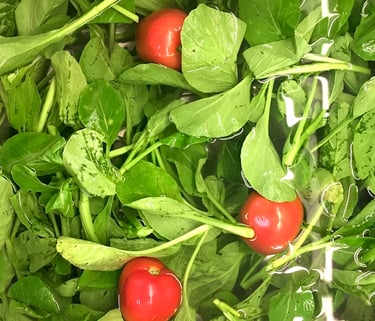 Alimentos limpos e desinfetados