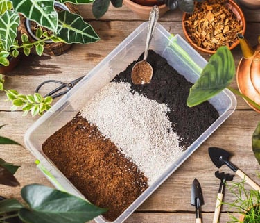 essential soil ingredients for houseplant soil mix