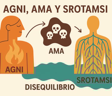 Ilustración ayurvédica que muestra la relación entre Agni, Ama y los Srotamsi como causa del desequilibrio físico y emocional
