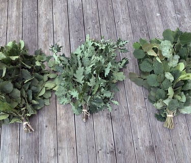 Découvrez la pratique du sauna sibérien pour une relaxation optimale et authentique.