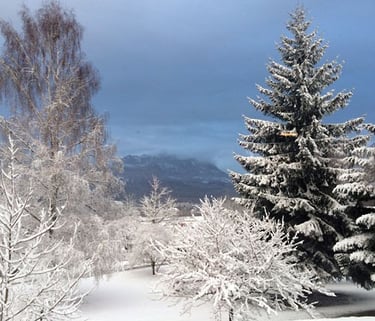 La chambre studio des Gardannes dans un beau cadre naturel avec vue sur les montagnes