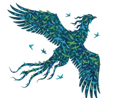 simorgh co animation création facilitation