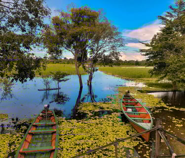 margens de um lago com duas canoas arvores em volta com folhas caídas deu azul ao fundo.