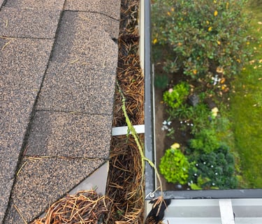 Gutter cleaning removing debris to improve water drainage