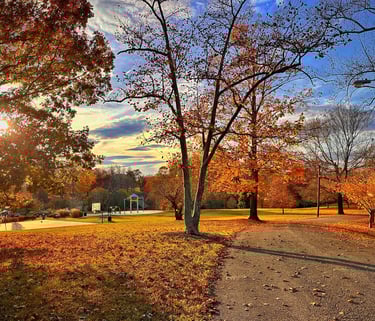 autumn walking trail riverside park lynchburg va