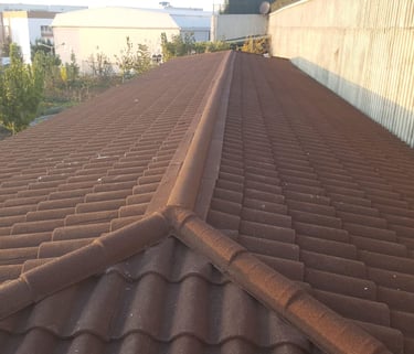 İstanbul-Hadımköy-Pelikan Evleri