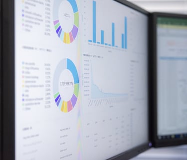datos-personalizados