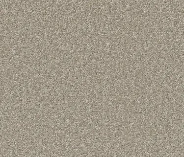 Clam Shell Broadcast Plus carpet – light modern flooring for homes in London Ontario