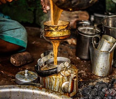 More on Travel Diseases from Food and Drink