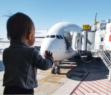 Safety of Air Travel by Unaccompanied Minors  (Children Traveling Alone by Air)