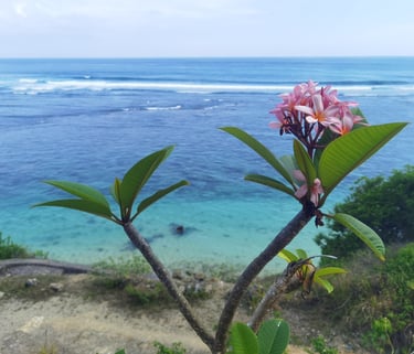 plage et fleur de tiaré Nusa Dua Bali