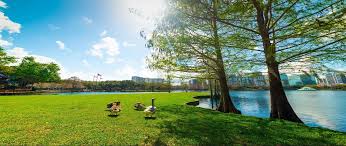 Orlando Downtown Thronton Park Flower Girl