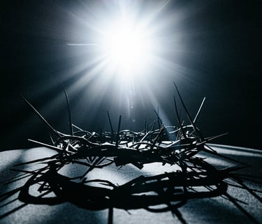 a crown of thorns crown of thorns crown of thorns crown of thorns crown of thorns