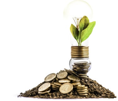 Coins and Plant Symbolizing Investment and Wealth