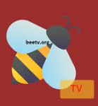 best vpn best iptv tugatvpc bee tv