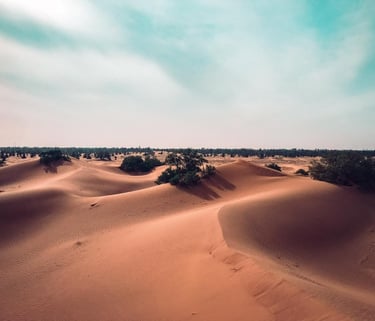 The dune at Erg Ait Ounir