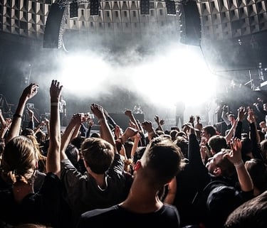 Público en un concierto en vivo en Valencia