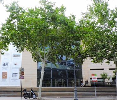 Facade of the Valencian Institute of Modern Art (IVAM) Valencia