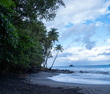 Martinique paysage photo