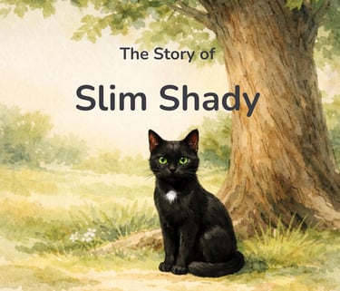 Book cover of The Story of Slim Shady, published by an independent publisher.