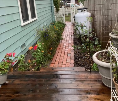 clean walk pavers