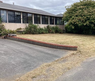 trimmed lawn