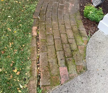 moss covered pavers