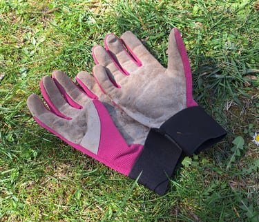 a pair of gloves for trimming hanging garden plants 