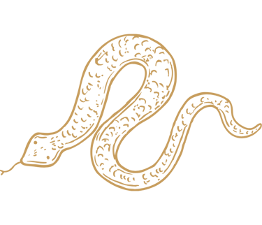 a golden snake drawing